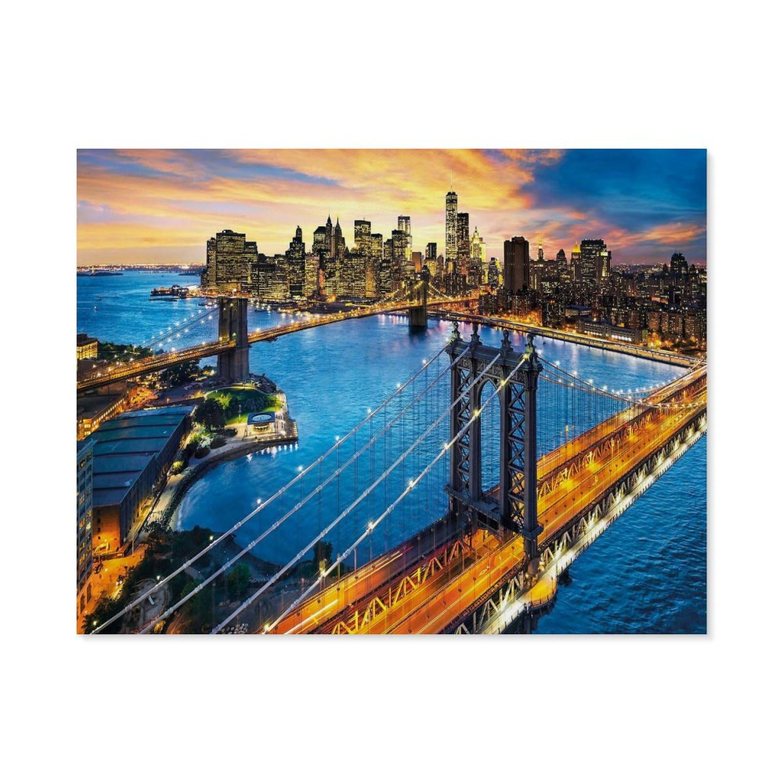 GSBRSNTS Paint by Numbers for Adults，New York，DIY Oil Painting Kits for Adults Kids Without Frame with Brushes and Acrylic Pigment Paint by Numbers Canvas Arts Crafts for Home Wall Decor(50x60cm-C36