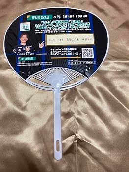 Amazon.co.jp: ガンバ大阪 うちわ 2024年 明治安田 : おもちゃ