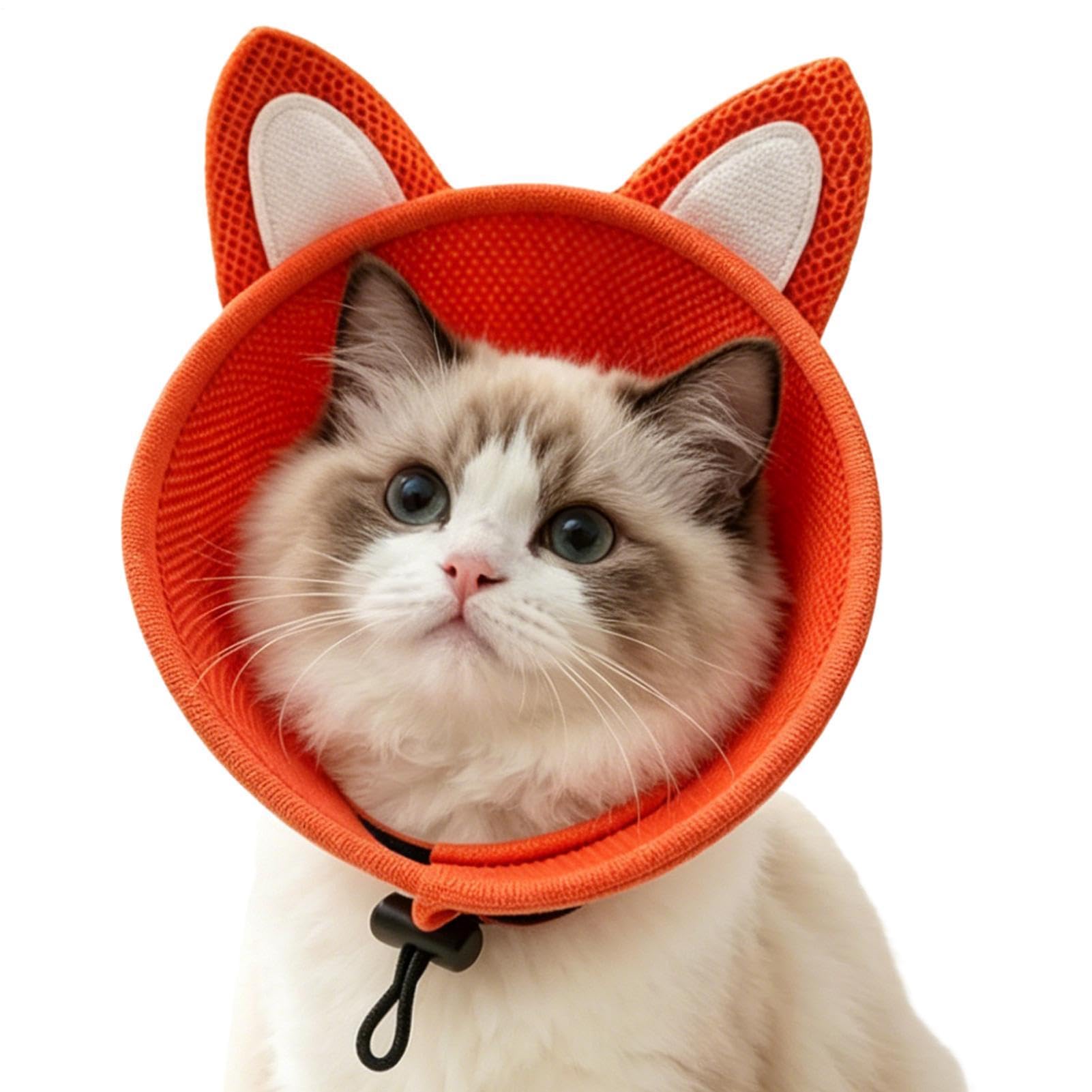 Collar de recuperación para gatos para evitar arañazos postoperatorios en interiores