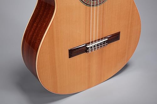 Miniatura 6 de Altamira Guitarra Clásica N100