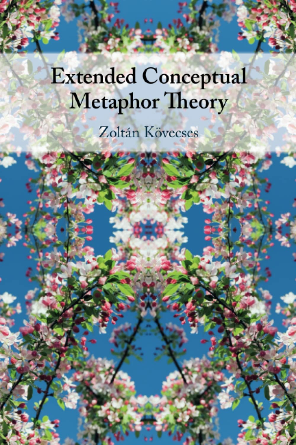 Extended Conceptual Metaphor Theory