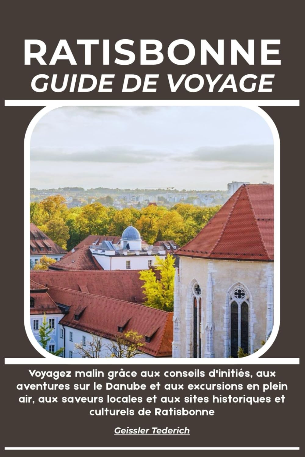 RATISBONNE GUIDE DE VOYAGE: Voyagez malin grâce aux conseils d'initiés, aux aventures sur le Danube et aux excursions en plein air, aux saveurs ... sites historiques et culturels de Ratisbonne