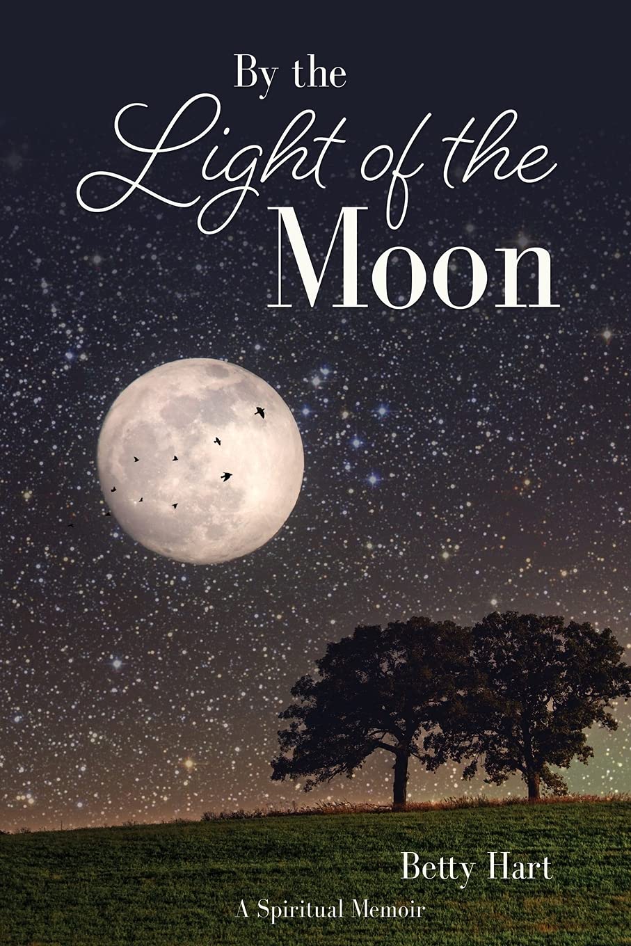 By the Light of the Moon: 0