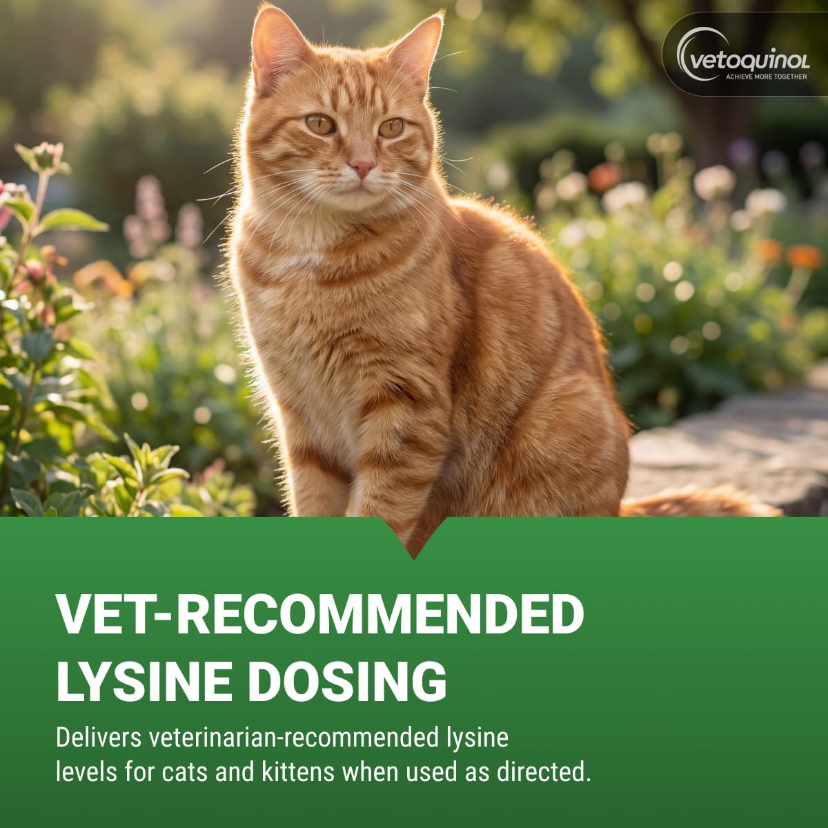 Vetoquinol Enisyl-F, Lysine Paste for Cats, Tuna, 3.5 oz — Amazon image 4