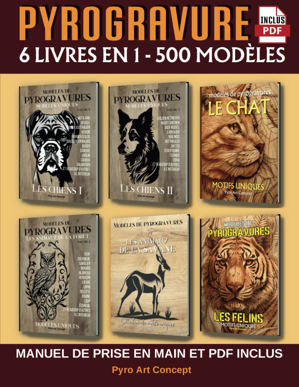 Pyrogravure et loisirs créatifs livre de 500 motifs uniques pour vos ateliers de décoration