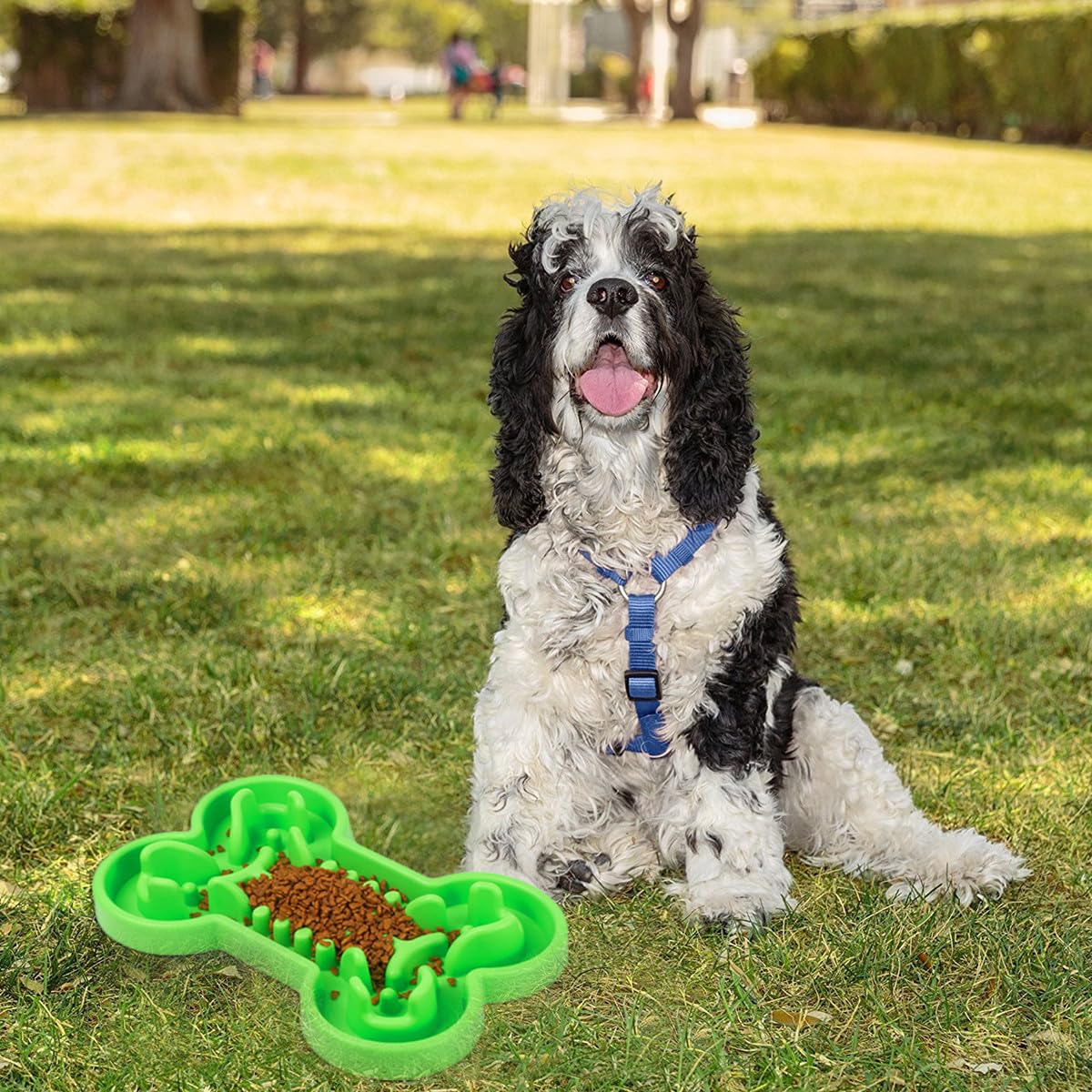 Ciotola Rialzata Anti-Ingozzamento in Silicone per Cani e Cuccioli