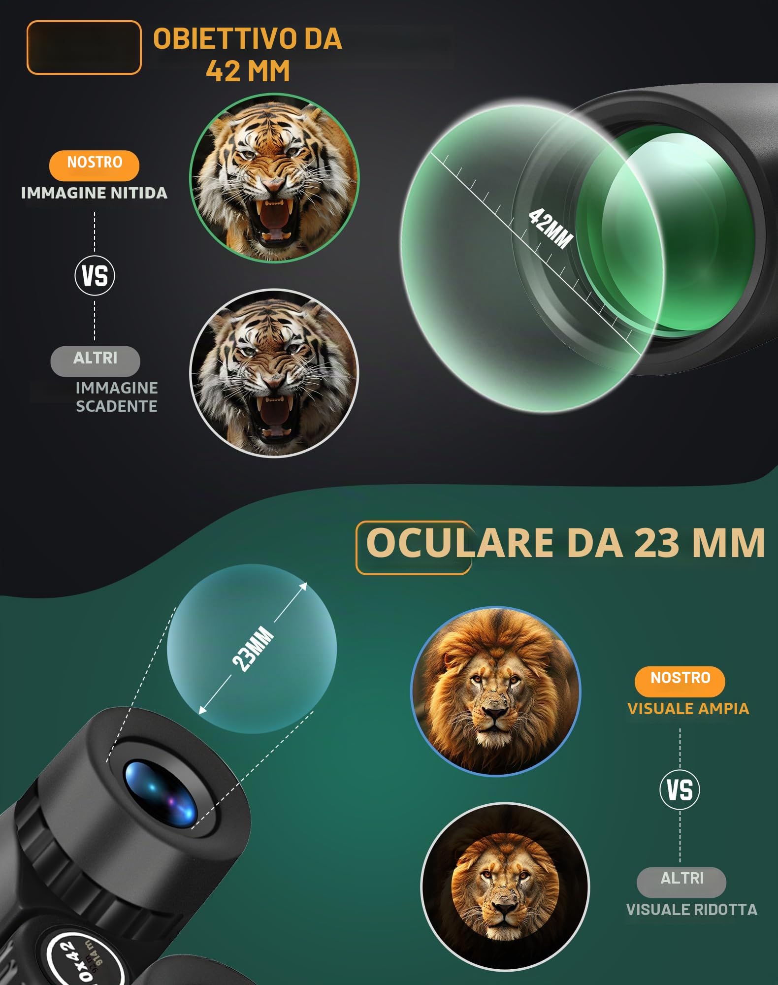 BEBANG Binocolo Professionale Potente 10x42: Prismi BAK4, Ottiche FMC | Riempito di azoto contro condensa e polvere, corpo gommato antiscivolo e antiurto, ampio campo visivo per birdwatching