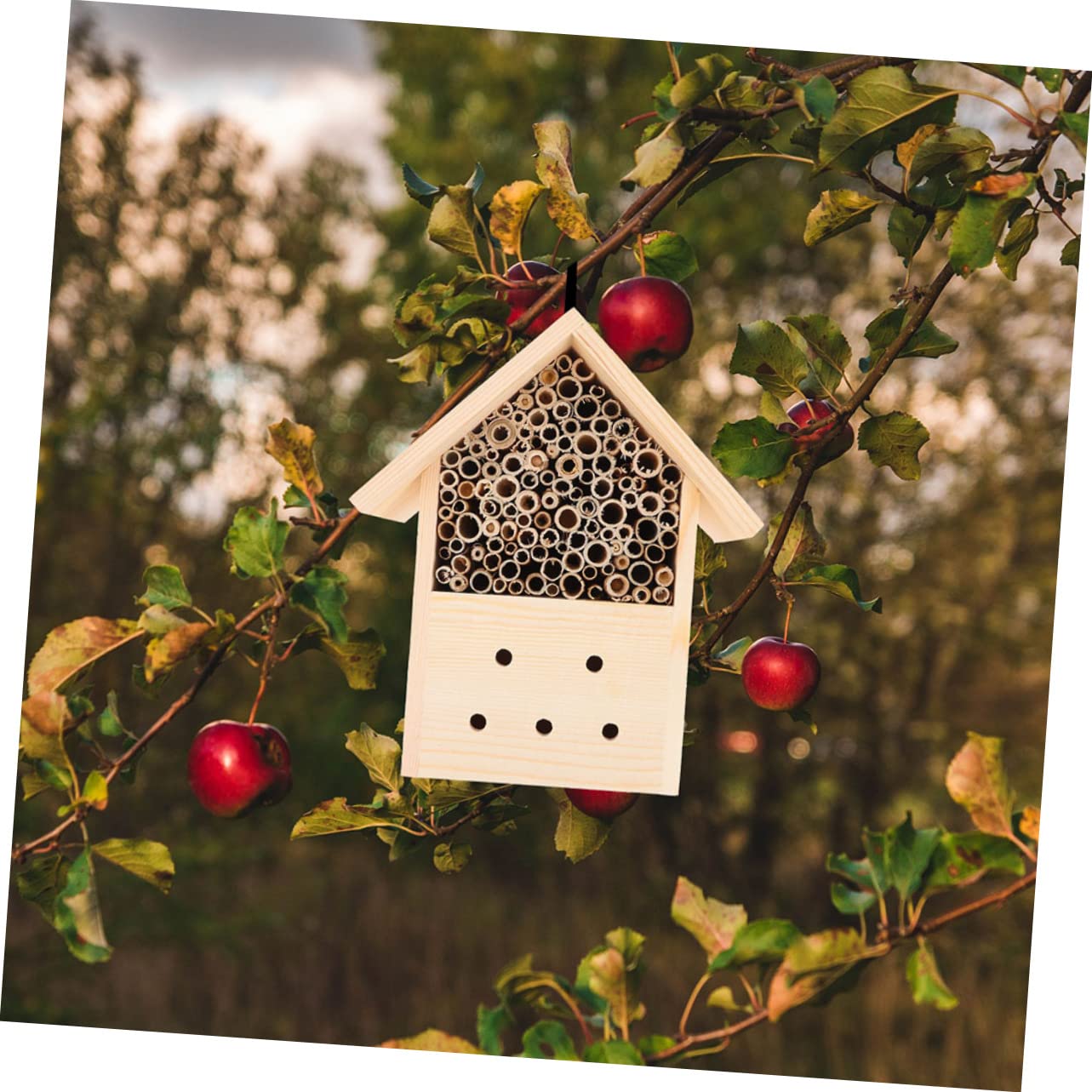 2stücke Insektenhaus Outdoor Bienenhaus Nest Lebensraum Für Bestäuber Schmetterlinge Marienkäfer Schutz Vor Regen Brutstätte Garten