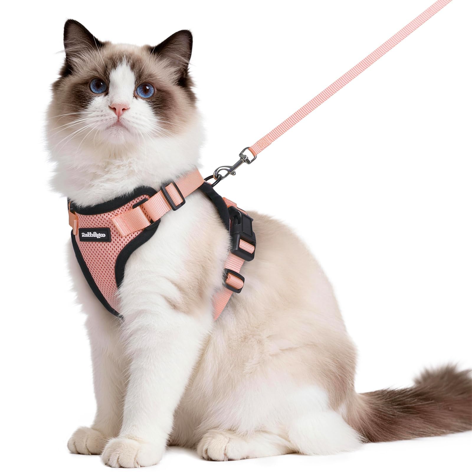 rabbitgoo Cat Harness and Lead Set, Adjustable Escape Proof Cat Lead for Walking, Reflective Kitten Harness Set, Soft and Comfortable for Kittens and Small Cats, Light Salmon Pink, M — image 1