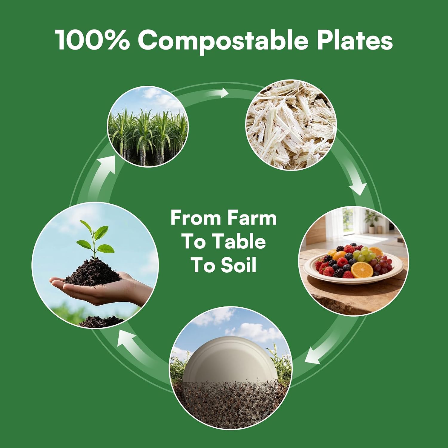 Compostable Paper Plates 9 Inch，Heavy Duty Paper Plates 100 Pack, Disposable Plates Biodegradable Dinnerware for Everyday Use, Party, Family (Microwave Safe) image 3
