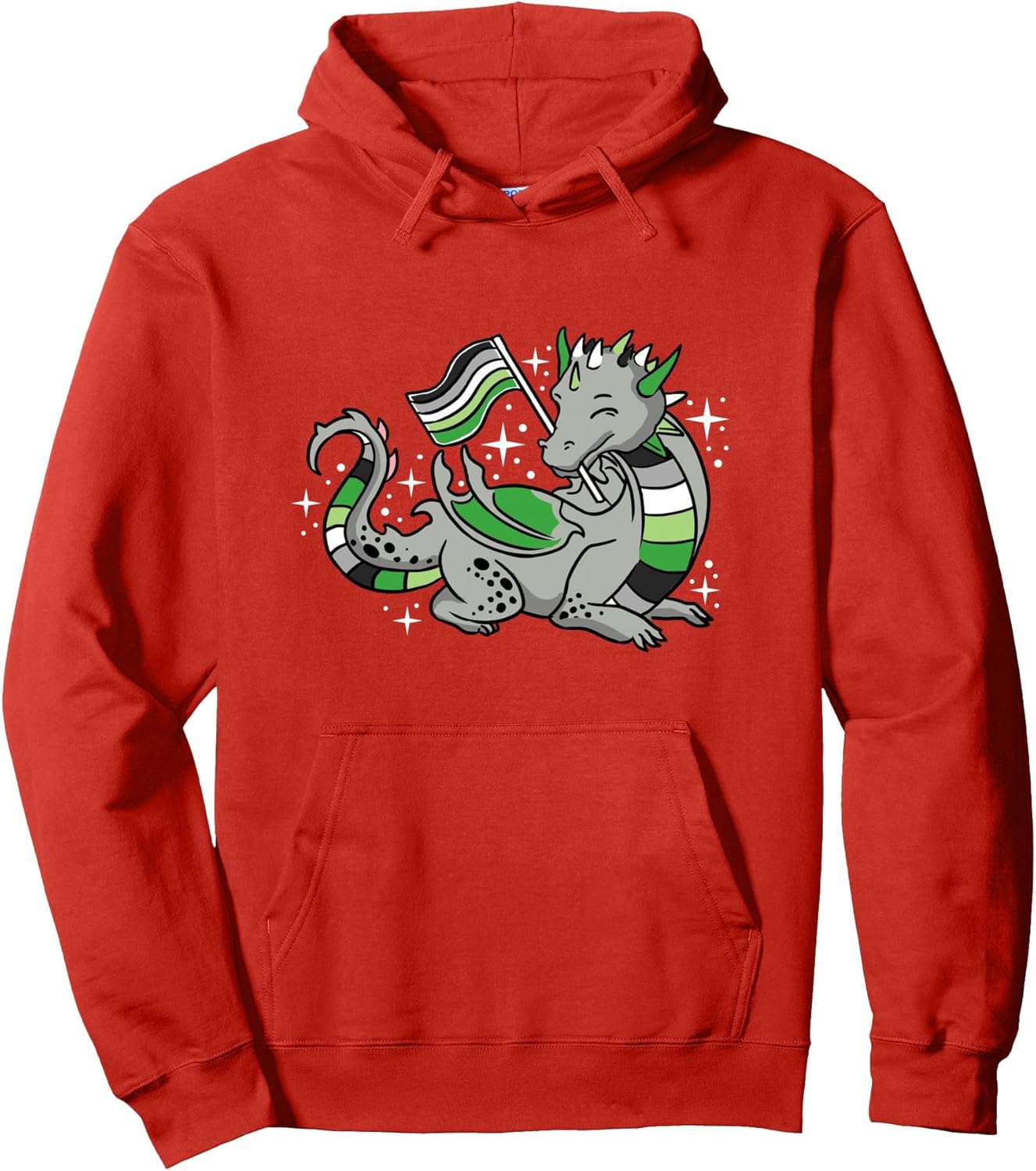 Aromantic Dragon Aromantic Pride Pullover Hoodie