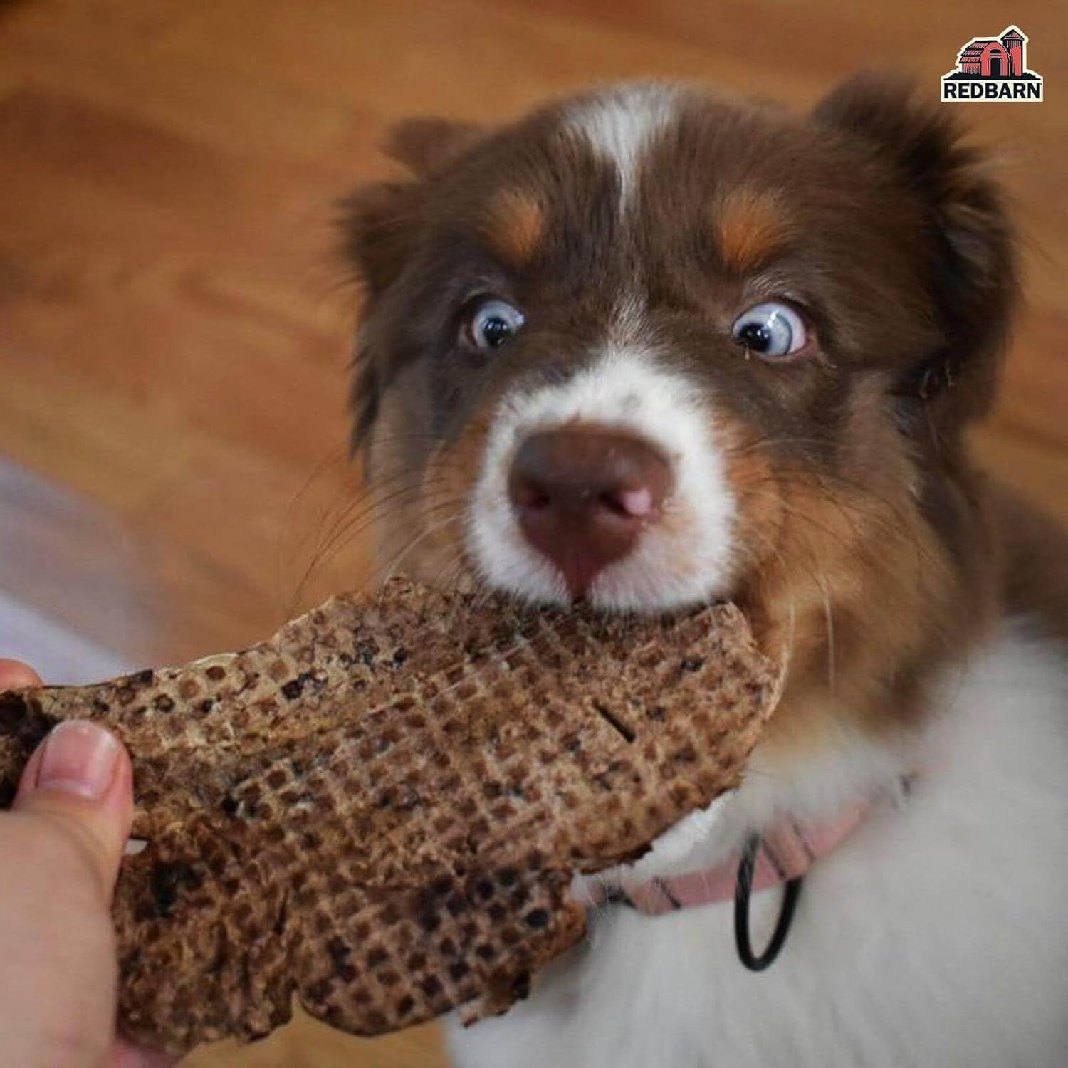 Redbarn Lamb Lung Filets - Oven Roasted Jerky-Style Dog Treats, Flavorful, Tasty & Highly Palatable Chews, Single Ingredient Protein – 10 oz, Case of 10 Bags