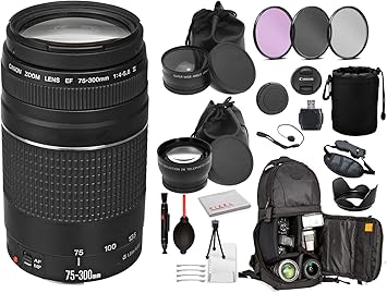Amazon Com Canon Ef 75 300mm F 4 5 6 Iii Lens 6473a003 With Professional Bundle Package Kit For Canon Eos Includes Dslr Sling Backpack 3pc Filter Kit Wide Angle Telephoto Lens More Electronics