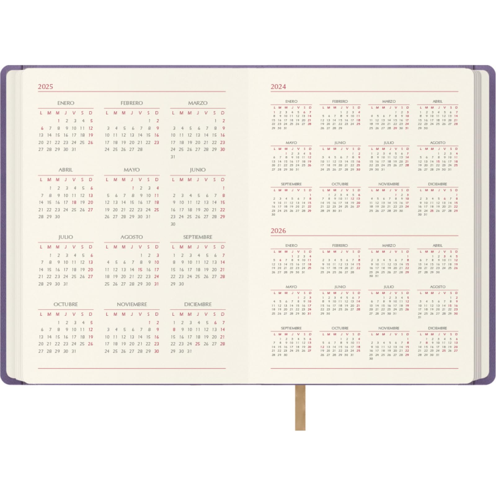 Dohe, 2025 Diary, Day by Page, A5 Size (15 x 21 cm), 12 Months January to December, Leatherette Hardcover, Planner in Spanish - Image 3