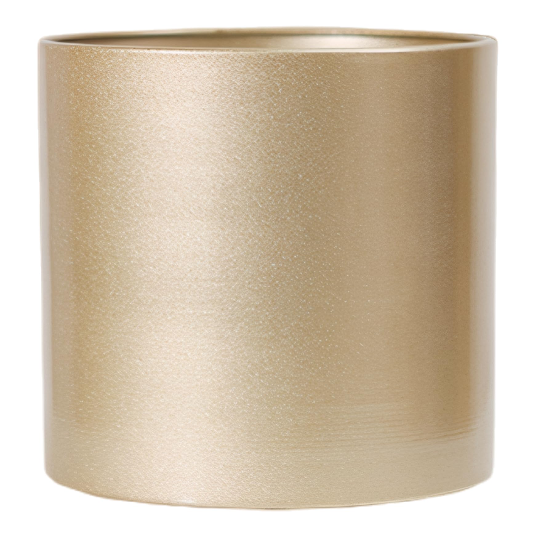 Gold-Pflanzgefäß, 22, 9 cm, wasserdicht, rostfrei, Metall, Goldener Blumentopf, Rutschfester Blumentopf, dekorative Vase für getrocknete Blumenpflanzen im Innen- und Außenbereich