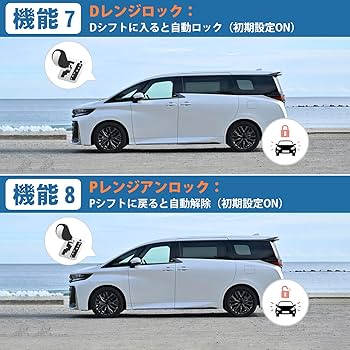 リーナミック アルファード 直接引き取り限定 30系 リーナミック