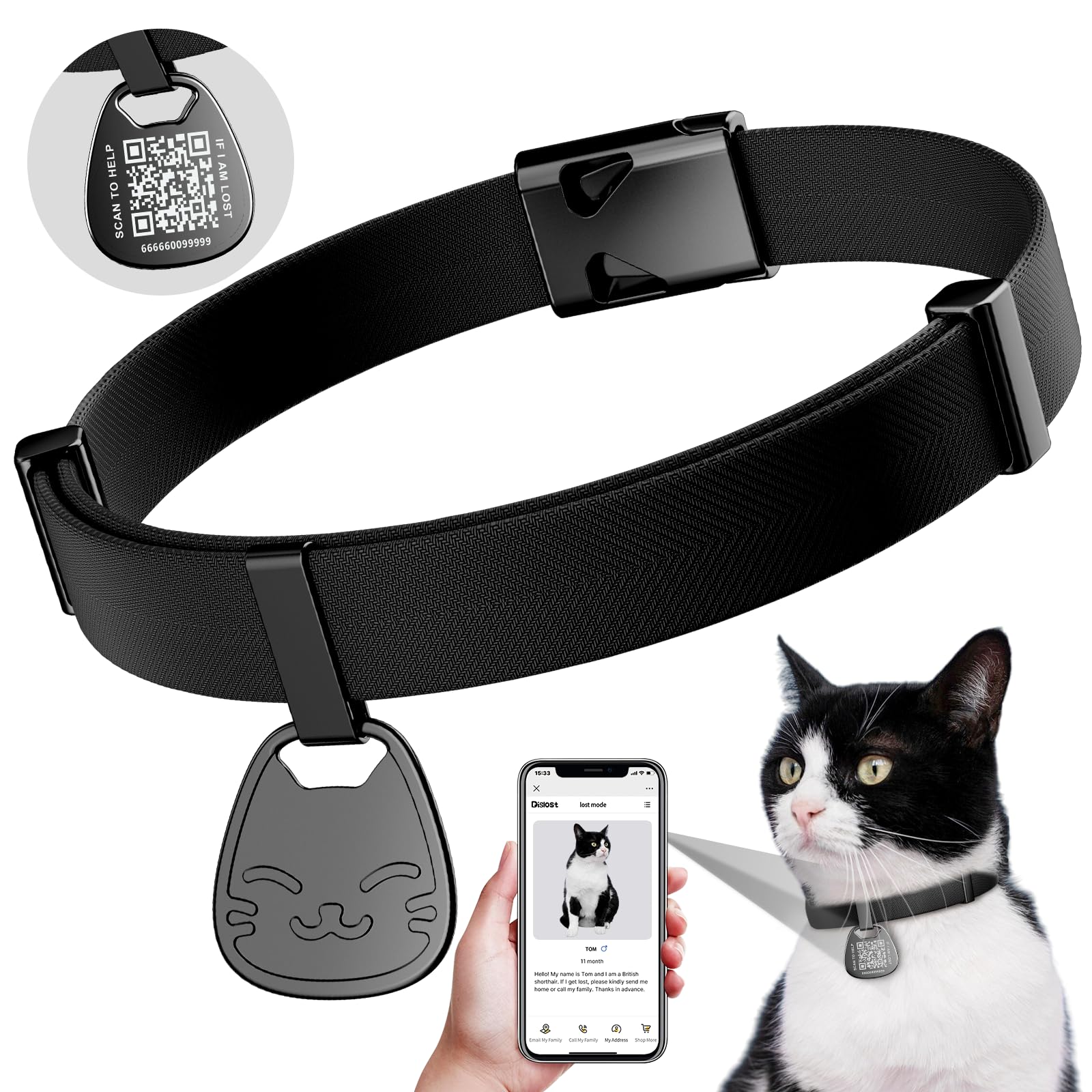 Whisker City Cat Collars Cheap Kitten Collars Sale