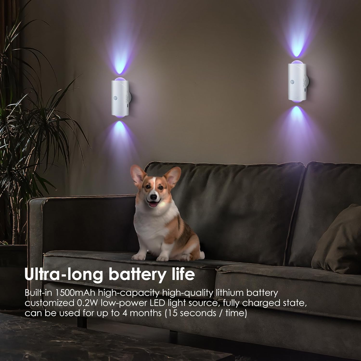 LED Motion Sensor Night Light, 7 Colors Rechargeable Battery Stair Light, Wireless Magnetic Wall Lamp, Cordless LED Wall Night Lights for Steps, Bedroom, Hallway, Courtyard, Holiday Decor, 2-Pack