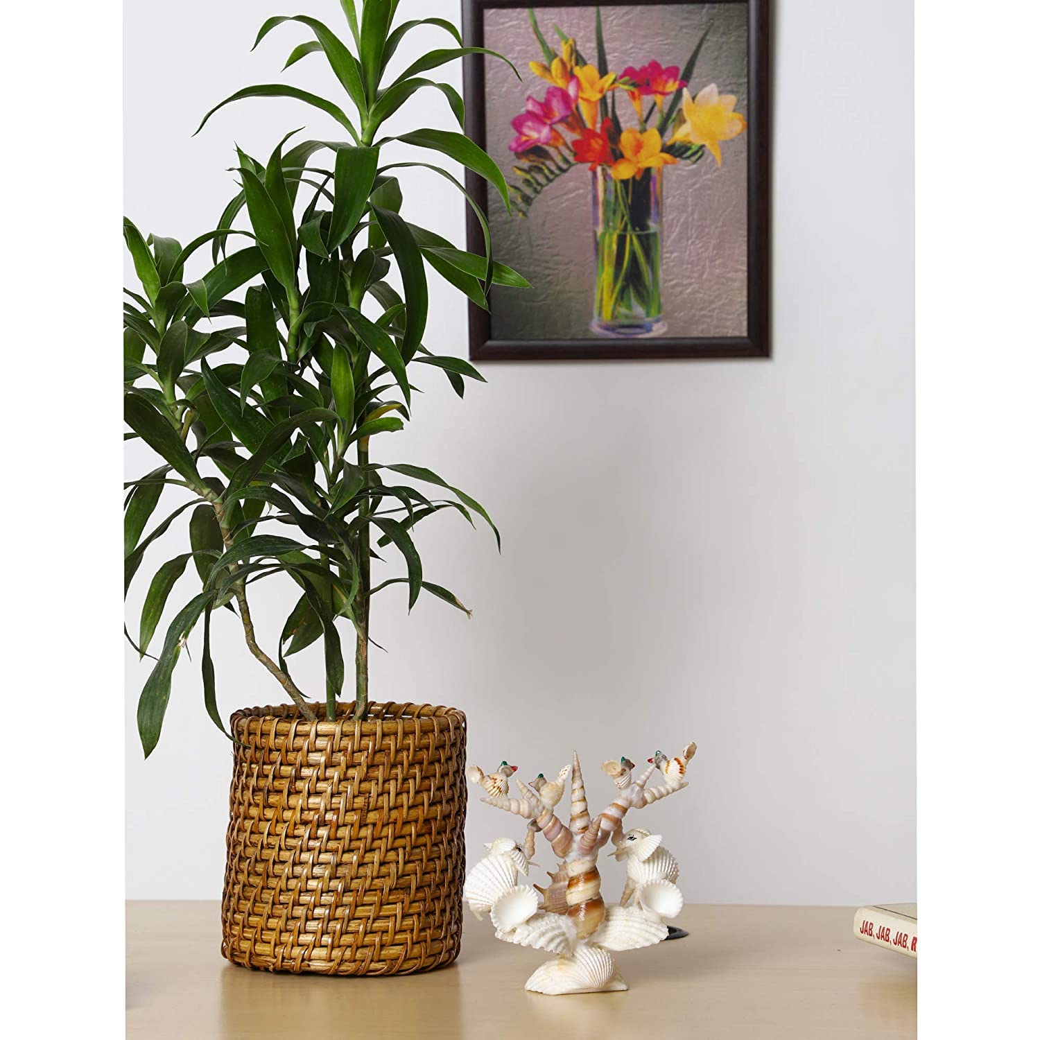 Emoh Decor Premium Round Cane Wicker Rattan Bamboo Planter for Indoor and Outdoor Plants Flower Pot (B09RVTTH6K) Amazon Price History, Amazon Price Tracker