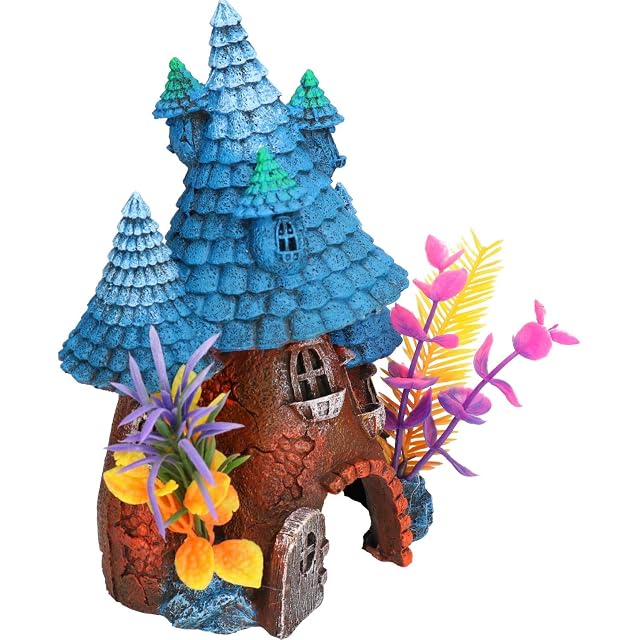 Foto 3 de 4 de Rosewood Palisandro Azul Techo Pixie House