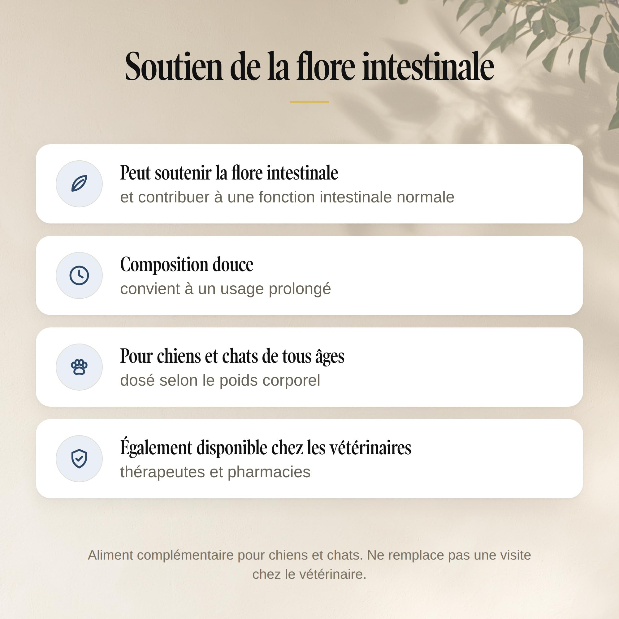 Sensi Probiotique Chien & Chat - 15 Souches - 100 g Poudre | Avec inuline et FOS, après antibiotiques ou changement d'alimentation, pour chiots et chatons