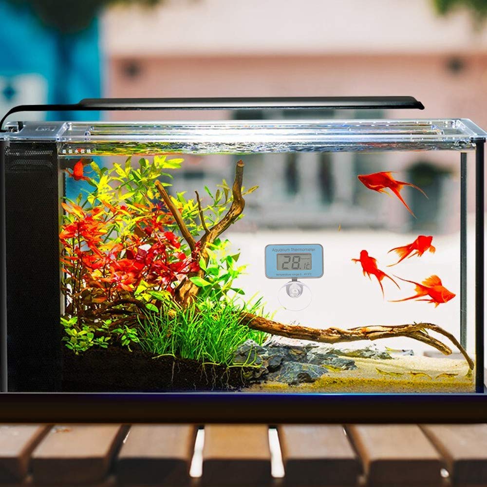 VAYINATO Sun-sun Aquarium Digital Fish Tank Thermometer (WDJ-005) with Water Proof 2