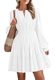 Mini Dresses for Women 2025 Casual Lightweight Long Sleeve V Neck A Line Elastic Waist Party Holiday Dress