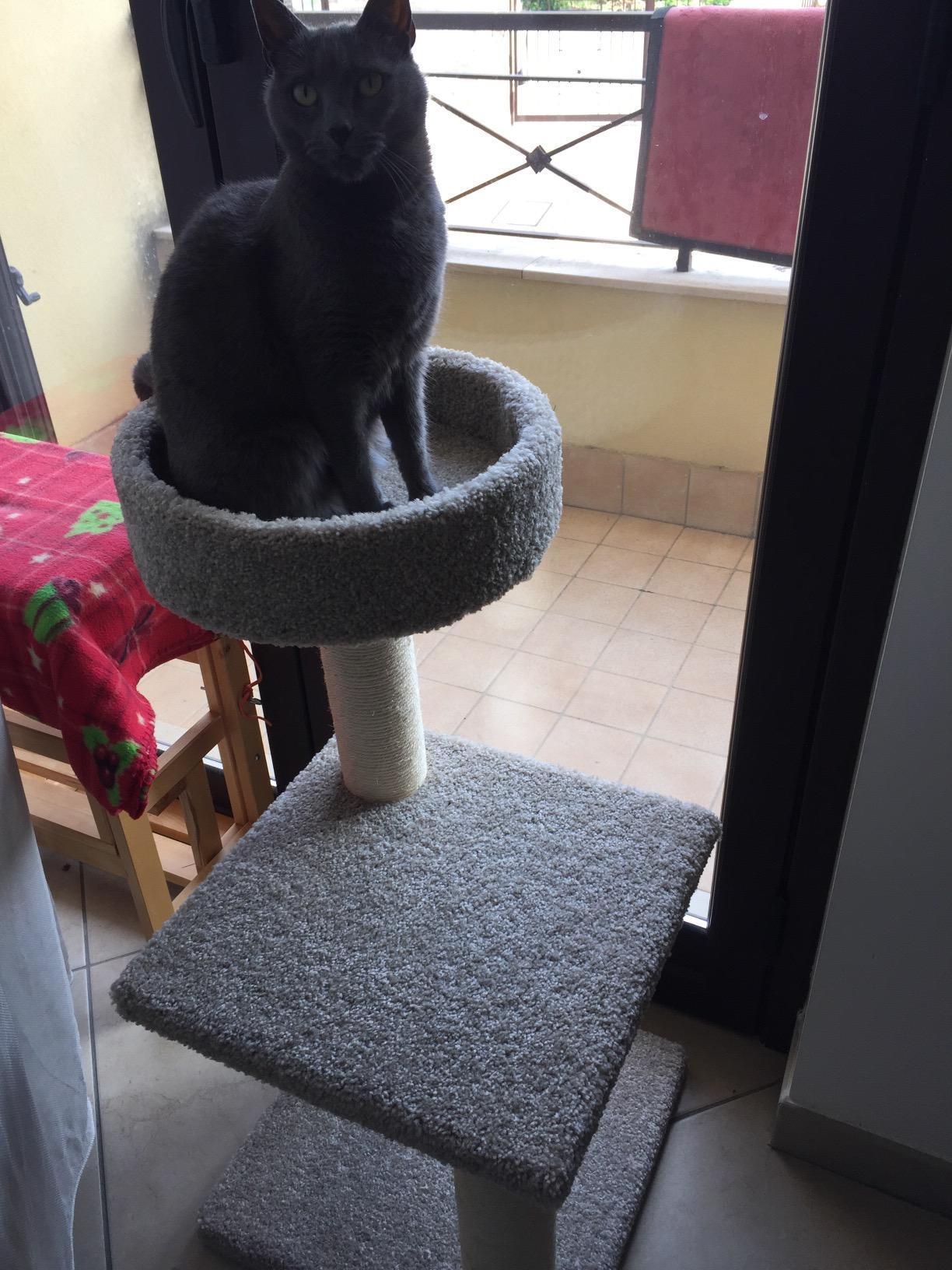 Immagine del cliente