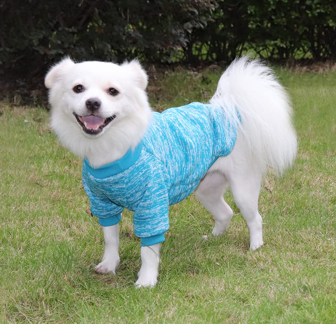 Jersey para Perro Pequeño y Gato - Sudadera Chihuahua, Tejido Cómodo, Suave y Cálido, Fácil de Poner (Azul+Azul Marino, XL) — view 5