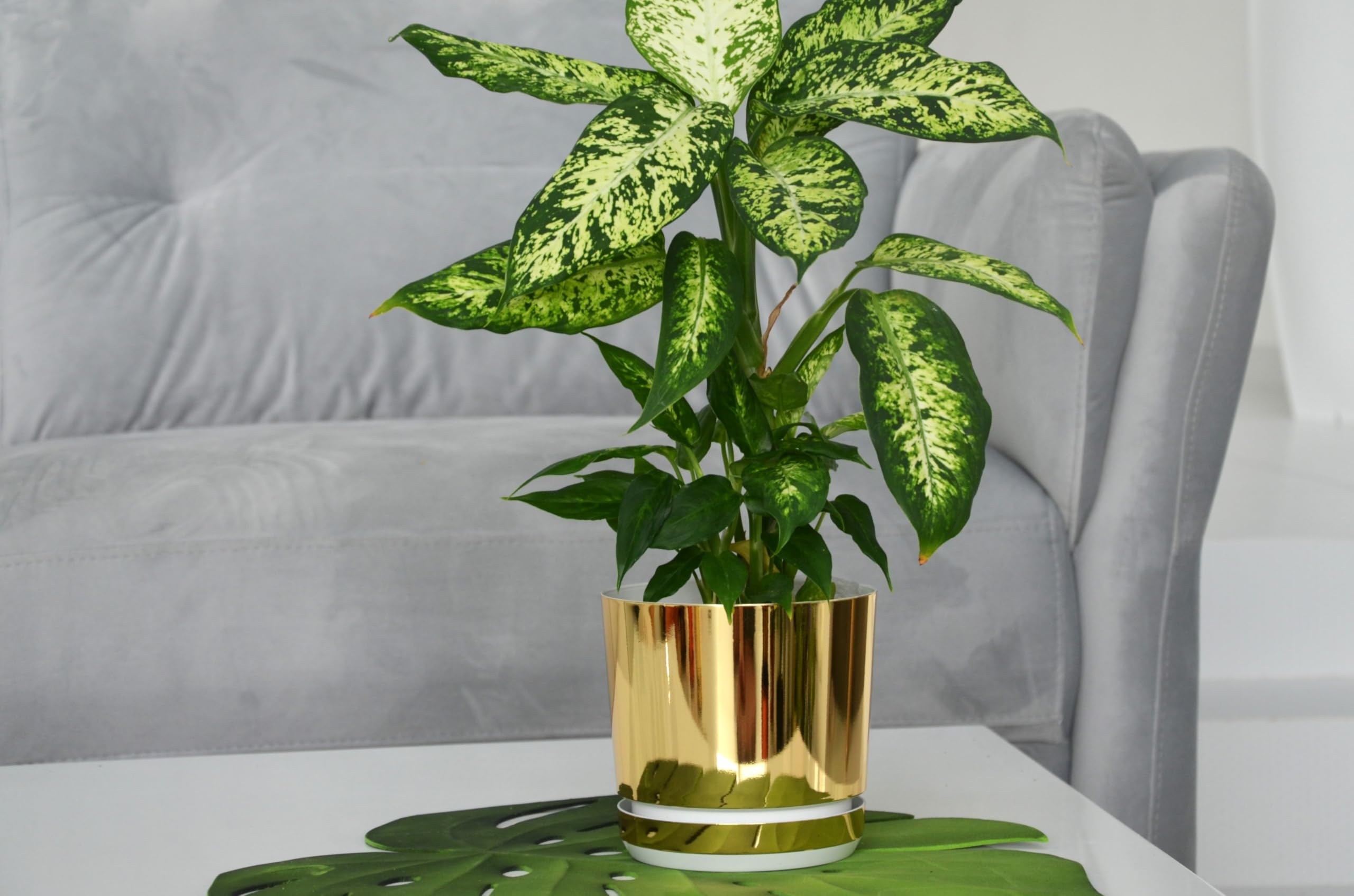 KERD Très Grand Pot de Fleurs 32 cm, Style Glamour Couleur Or Champagne, Finition Brillante pour Plantes, Rond avec Soucoupe, Fabriqué en Europe, Plastique Recyclé