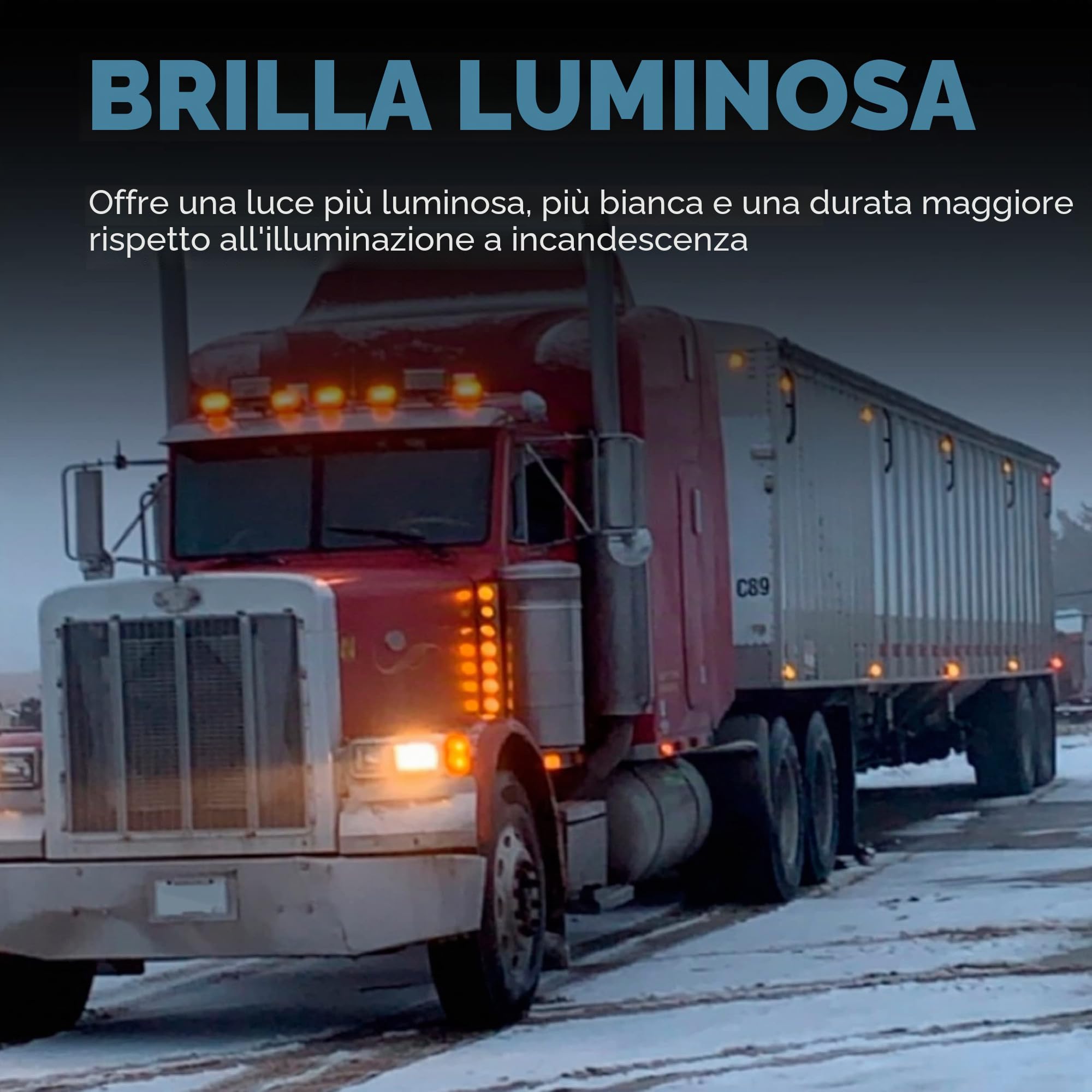 Wagner Lighting H5006 Sealed Beam – Confezione da 1