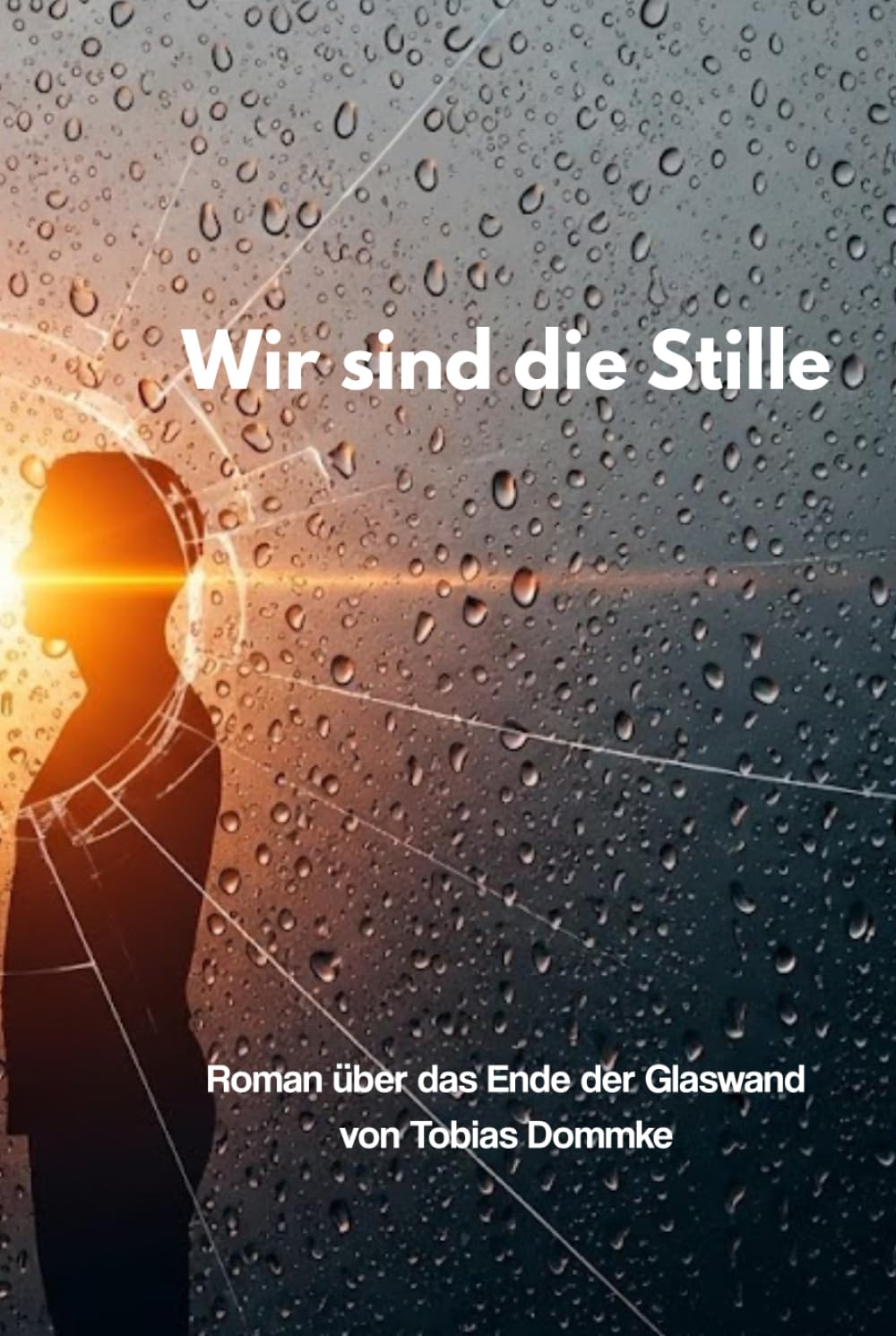 Wir sind die Stille: Roman über das Ende der Glaswand