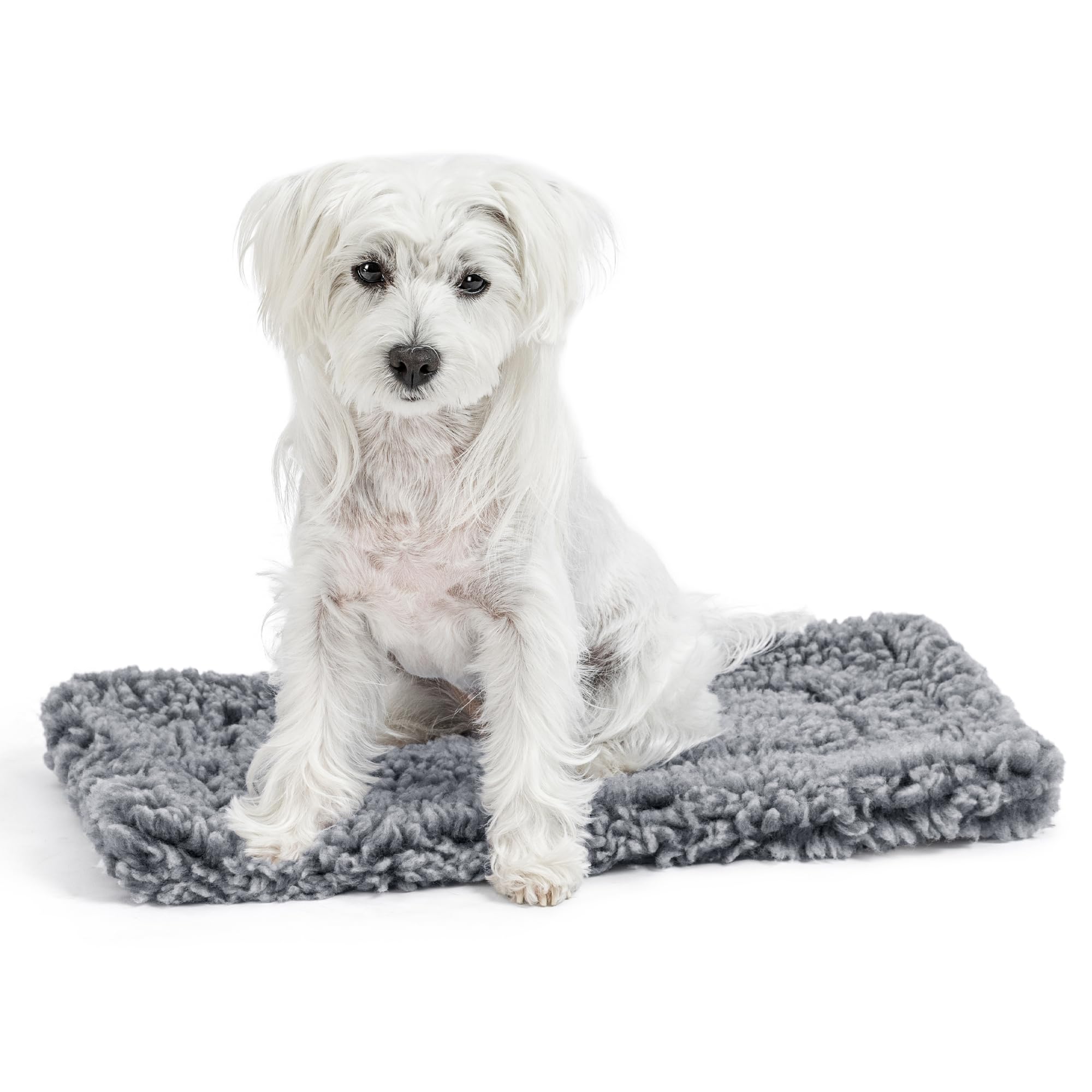 PELZIN Stoutwool Chew Proof Dog Bed - Fluffy Chew Resistant Dog Crate Pad - Tough Kennel Pad for Aggressive Chewers - Washable, Ideal for Extra Small Breeds & Fits L 58cm Crate - 53x30x5cm, Charcoal