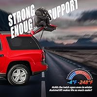 Vista 6 de Resortes a gas traseros para cajuela, 2