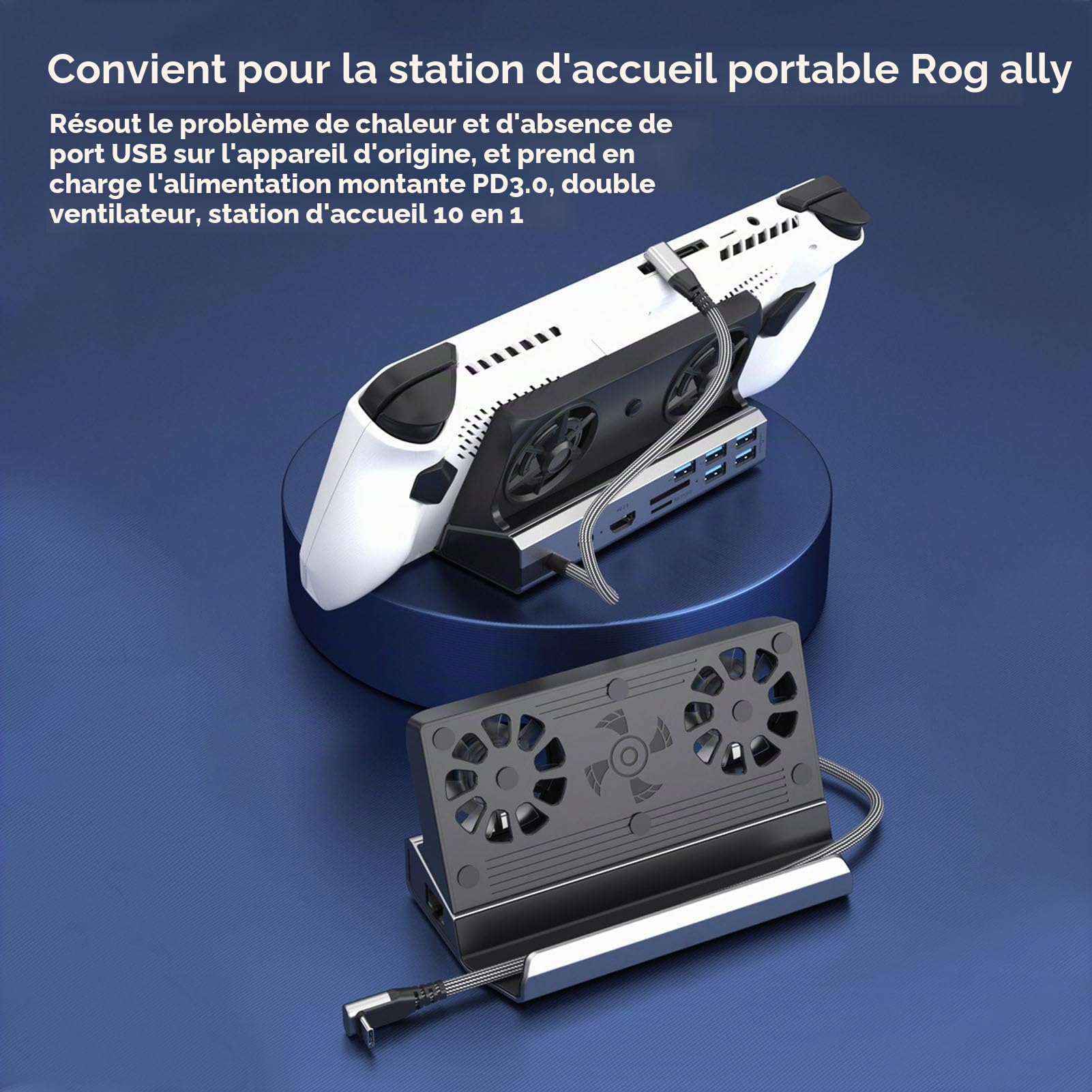 Station d'accueil pour Steam Deck et ROG Ally, Station d'accueil Steam Deck 10 en 1 avec HDMI 2.0 4K @ 60 Hz, Gigabit Ethernet, 2 X USB 3.1, 3 X USB 2.0, Port de USB C PD