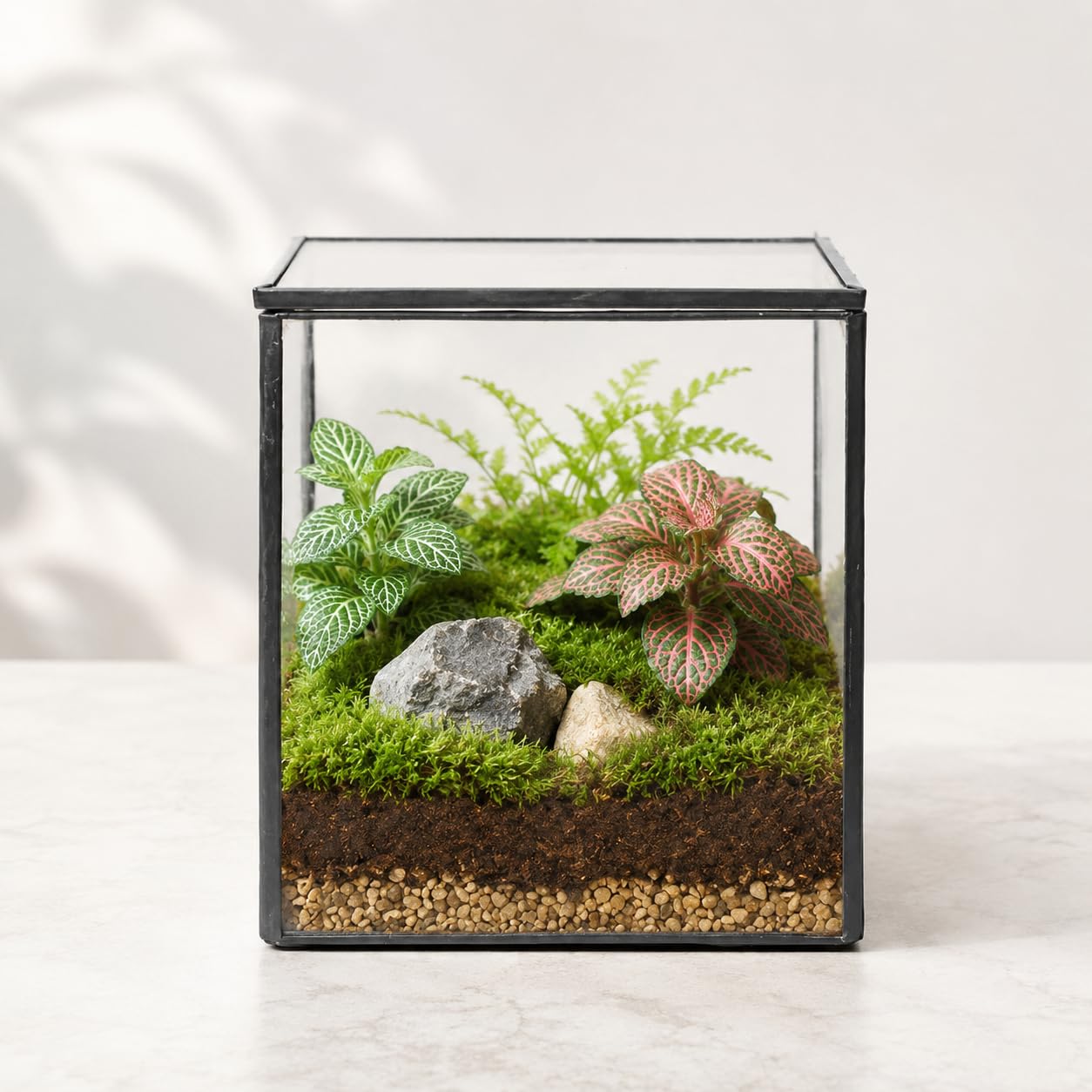 libproqia Small Square Glass Terrarium