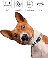 Vista 6 de Lindo collar de perro para perros pequeños, collar de perro pequeño para hembras y machos, collares de perros niños y niñas, collar de perro