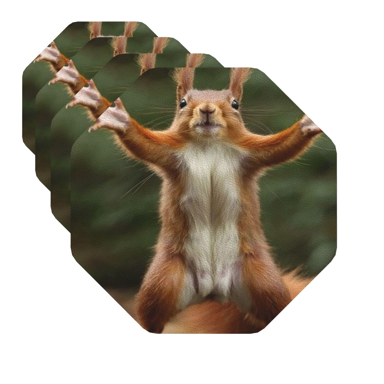 Drink Coasters Set of 4 Quick-Dry Leather Coaster Squirrel Funny Animal Coasters for Drinks Coffee Cup Mat Tabletop Protection Heat Resistant Coaster for Kitchen Bar Office Home Decor