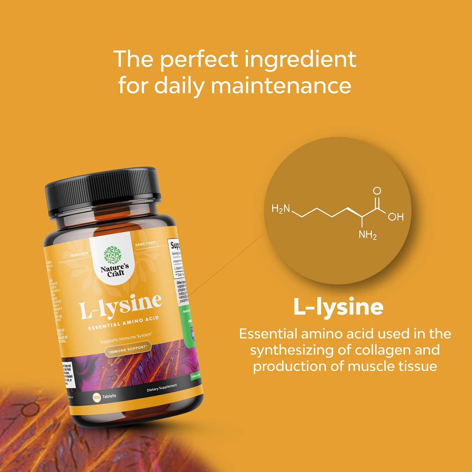 L Lysine 1000mg Nutritional Supplements - L-lysine Essential Amino Acids Supplement for Eye Health Lip Care Bone Support Immune System Support Muscle Growth and Vegetarian Collagen Production : Health & Household