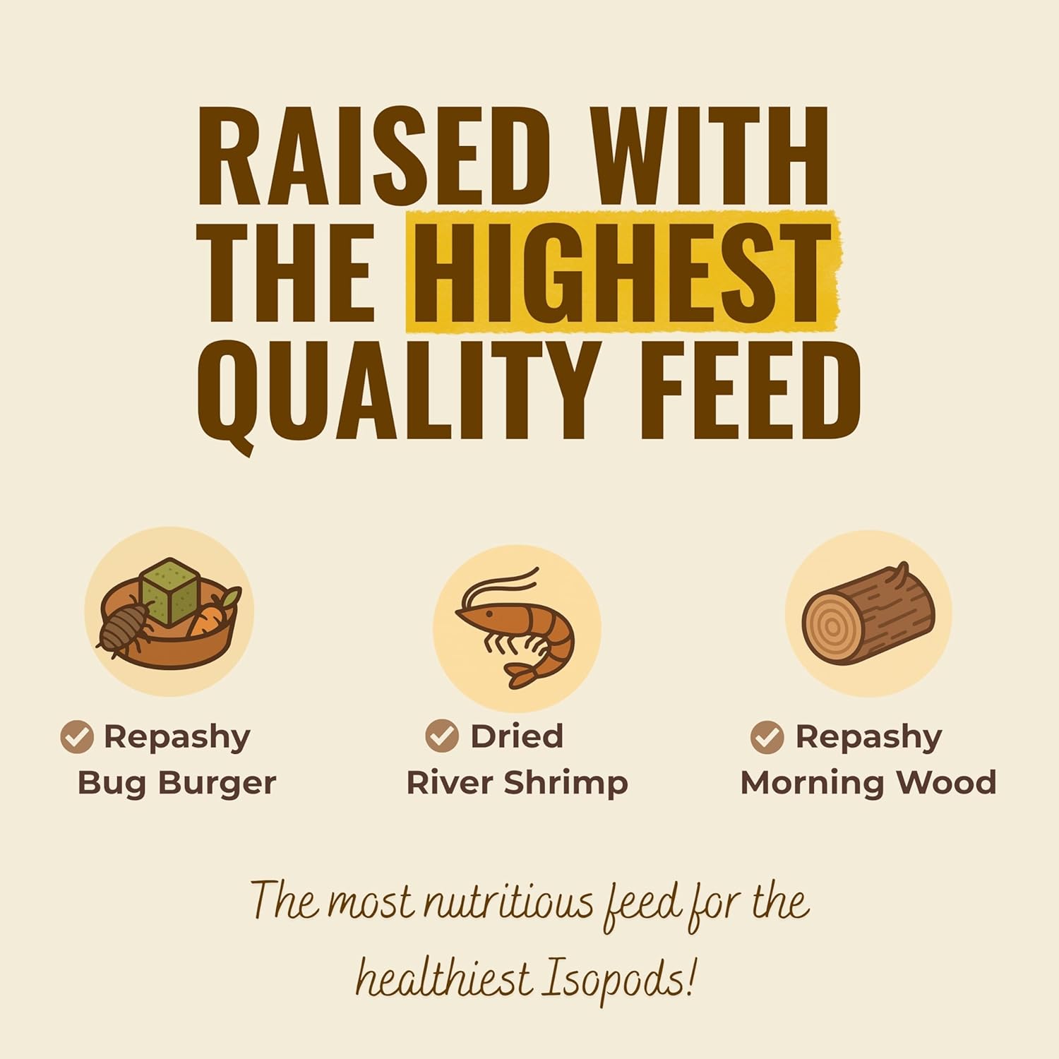 12+ Armadillidium Yellow Spotted Gestroi - Live Isopods for BioActive Terrariums, Vivarium Clean-up Crews, and Reptile Food