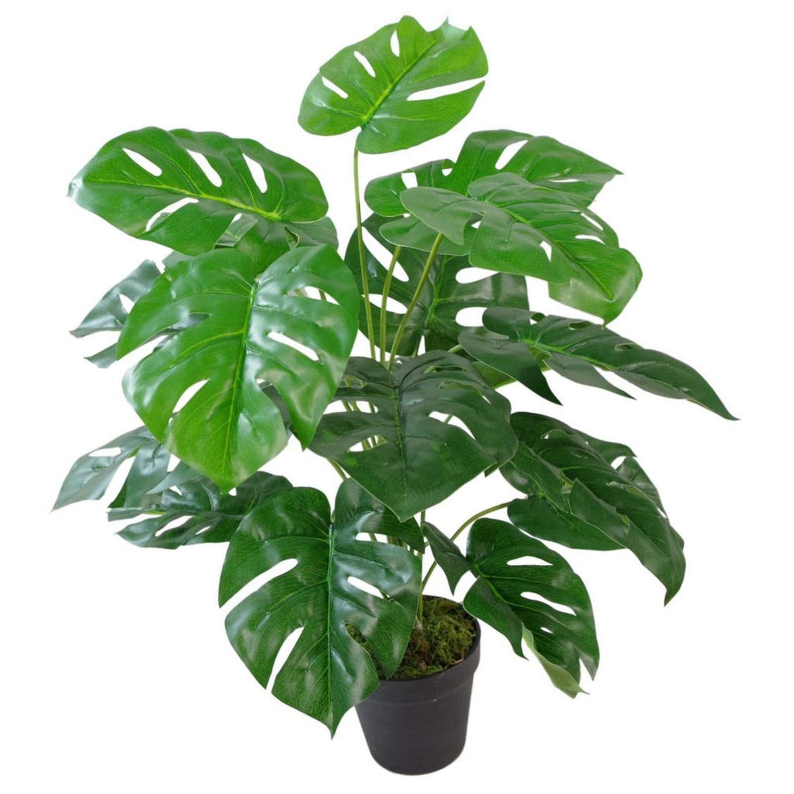 Leaf realistic Artificial Monstera Cheese Plant 60cm , AZ-CHEESE