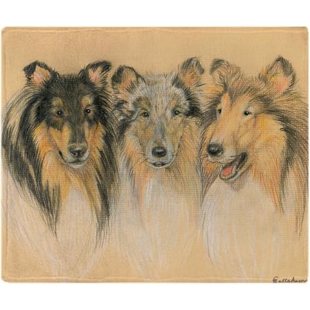 sheltie throw blanket