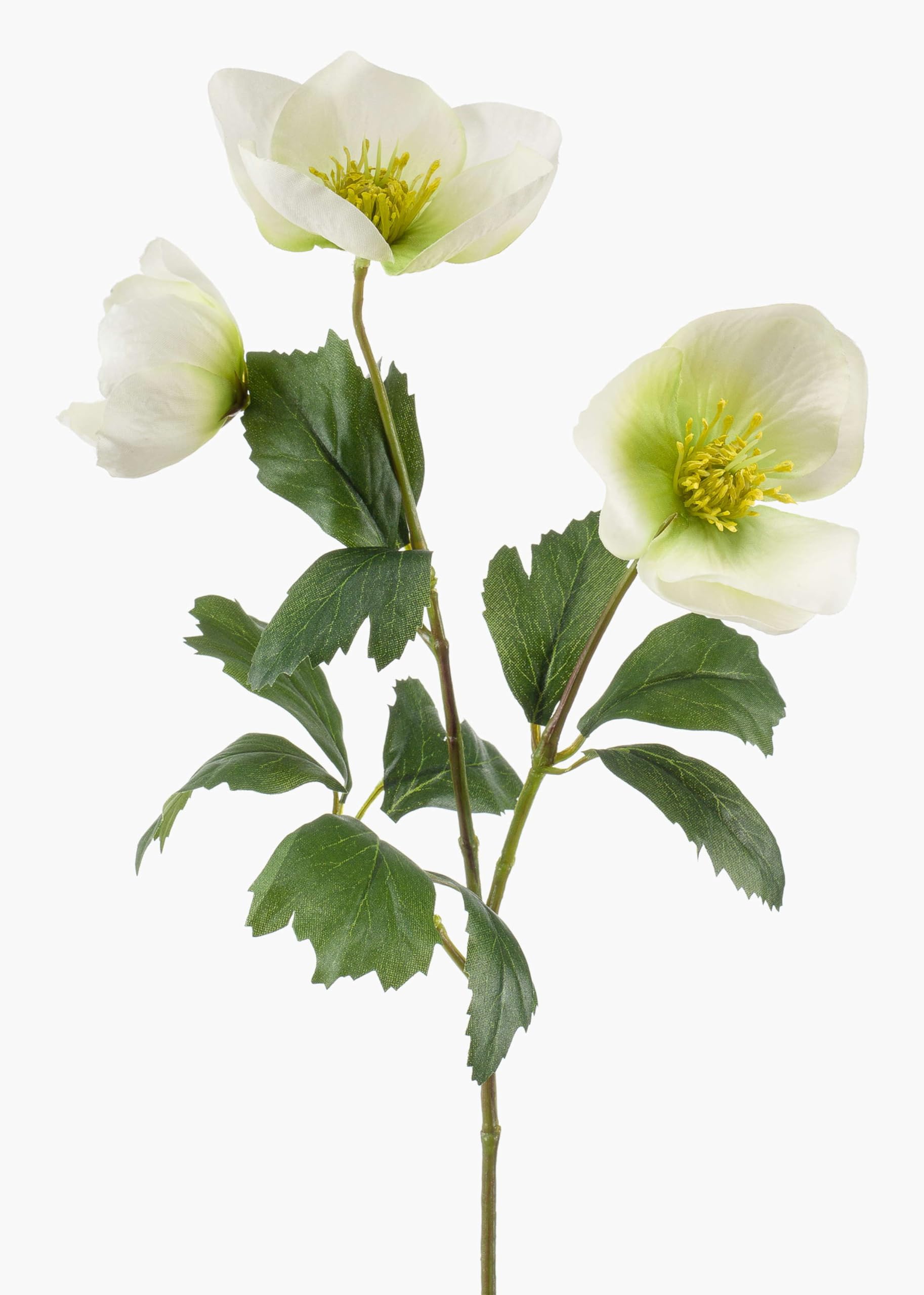 artplants.de Fake Christmas rose MERUEL, white-green, 45cm - Artificial Hellebore/Faux flower spray