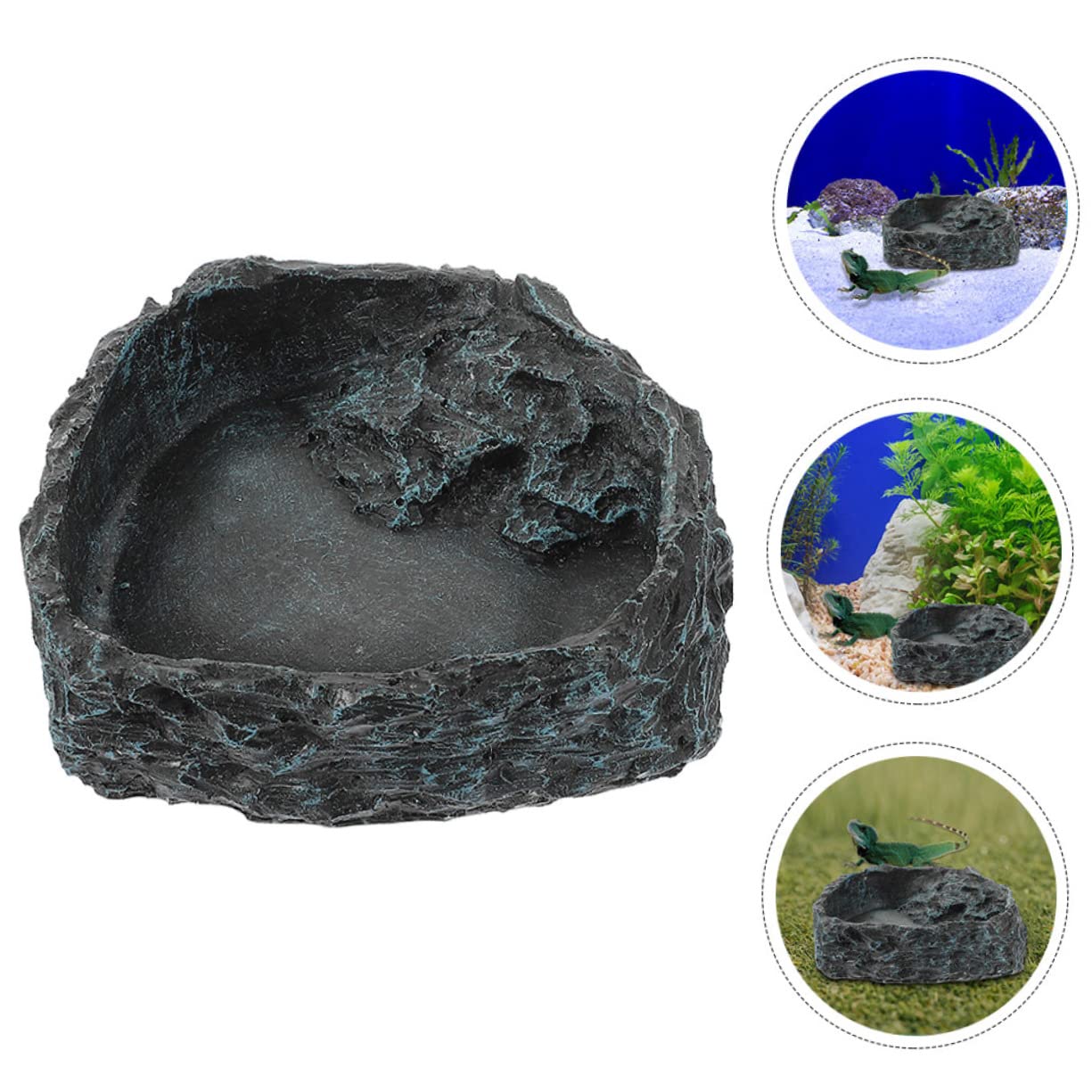 Cuenco de agua para reptiles Cuenco de alimentación for reptiles, Beard, 5 piezas, bandeja de agua for animales, cuenco de comida for lagartos, plato de comida for reptiles, plato de agua for serpient