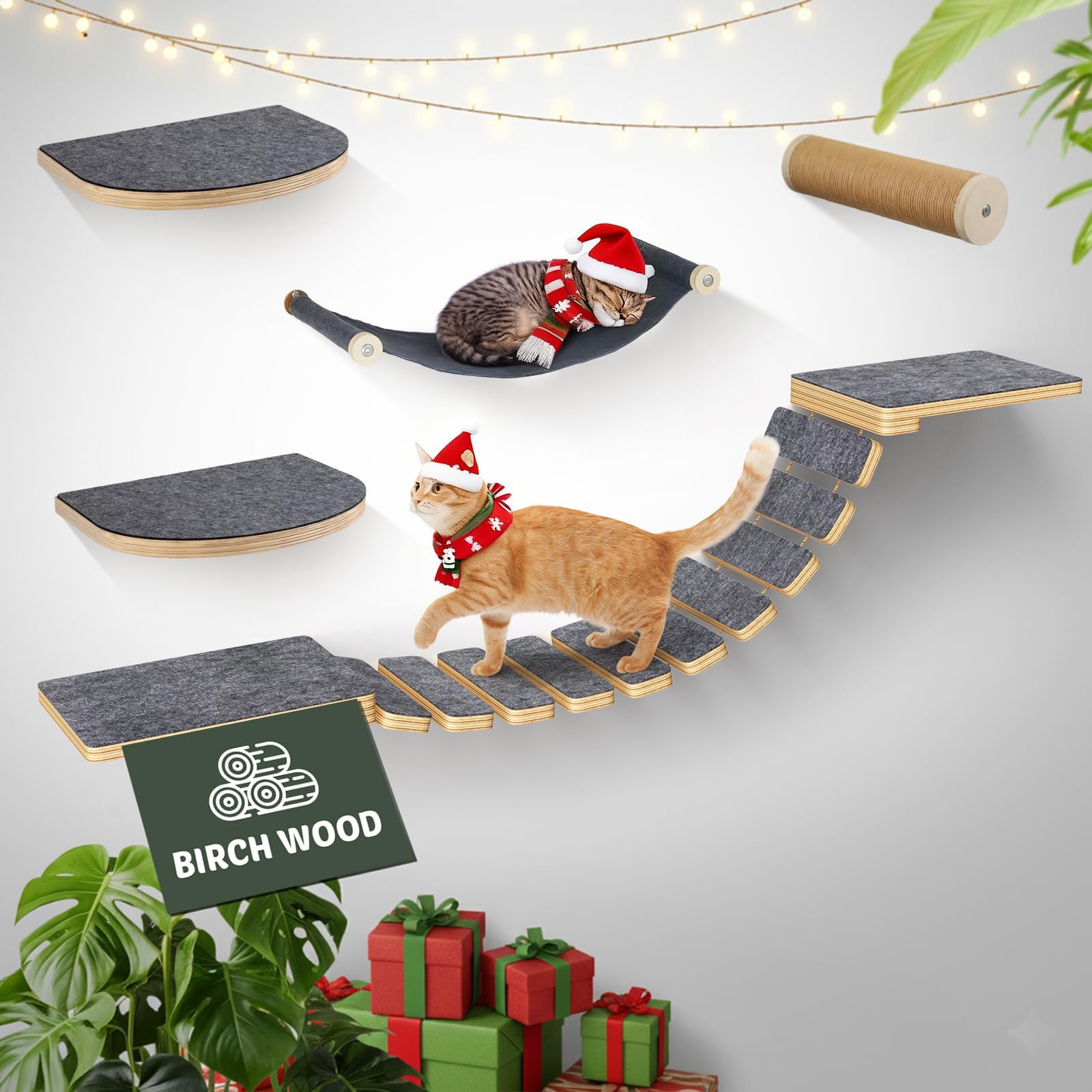 Kletterwand Katzen Set mit Katzenbett und Katzentreppe, Katzenmöbel aus Holz, Katzen Wandelemente Multifunktional zum Schlafen, Spielen und Klettern