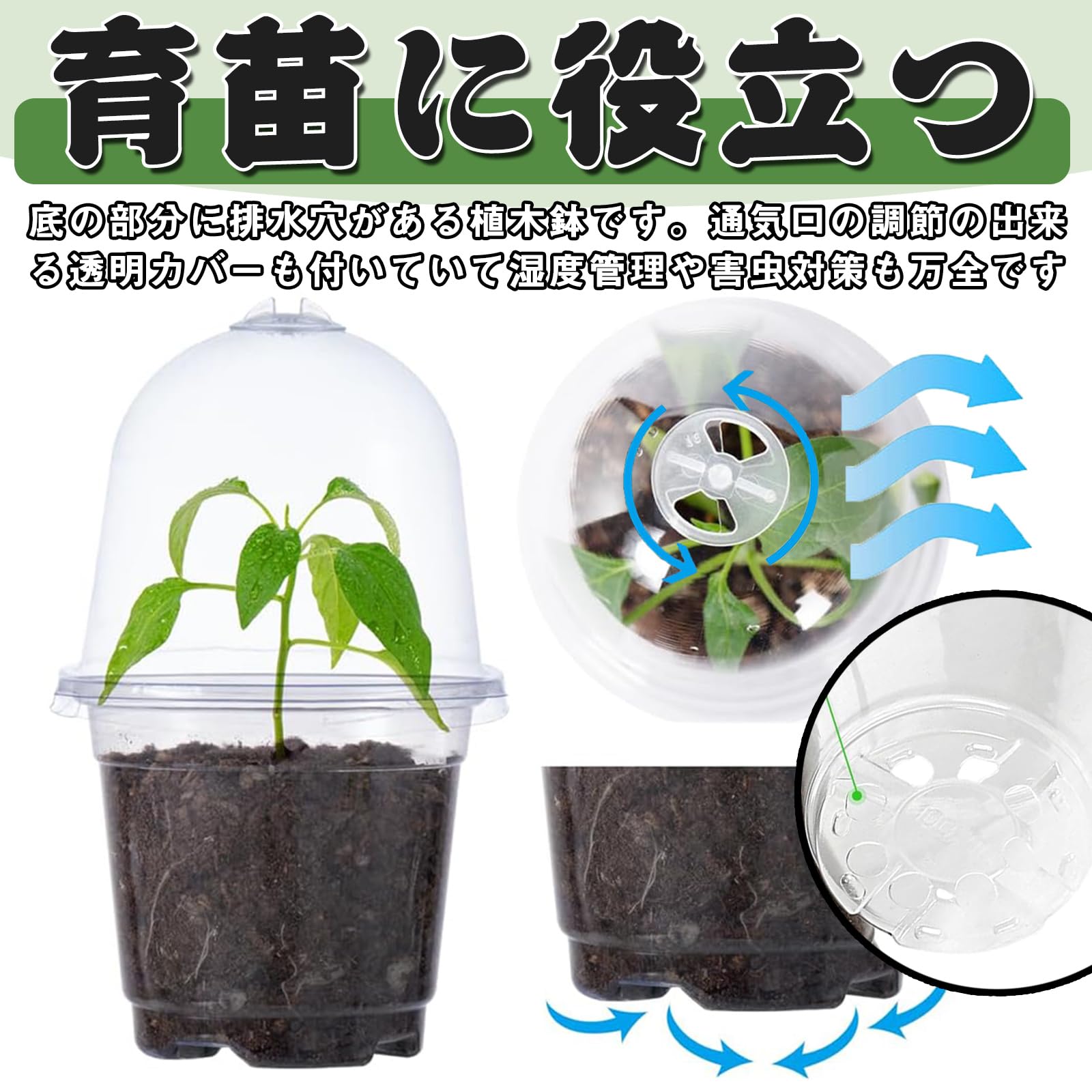Amazon.co.jp: 育苗ポット ミニ植木鉢 プラスチック 透明苗ポット 10個