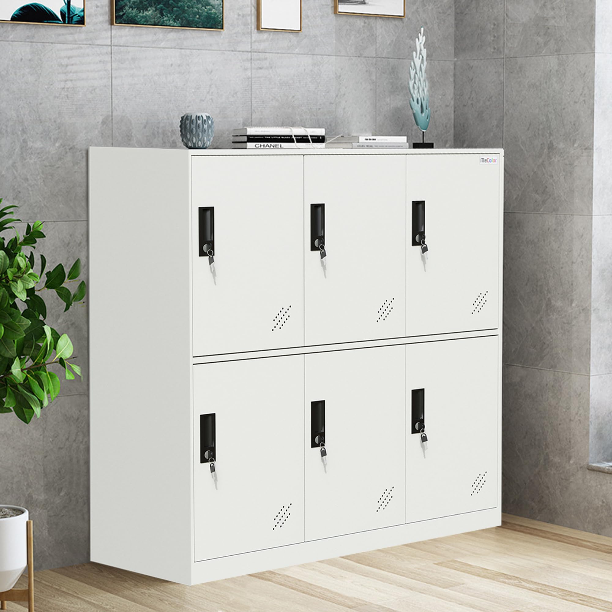 MECOLOR Taquilla de Almacenamiento para empleados, taquillas de Metal para Oficina, taquillas de Gimnasio, taquillas de Acero con Cerradura para el hogar... (6D, Blanco Completo)