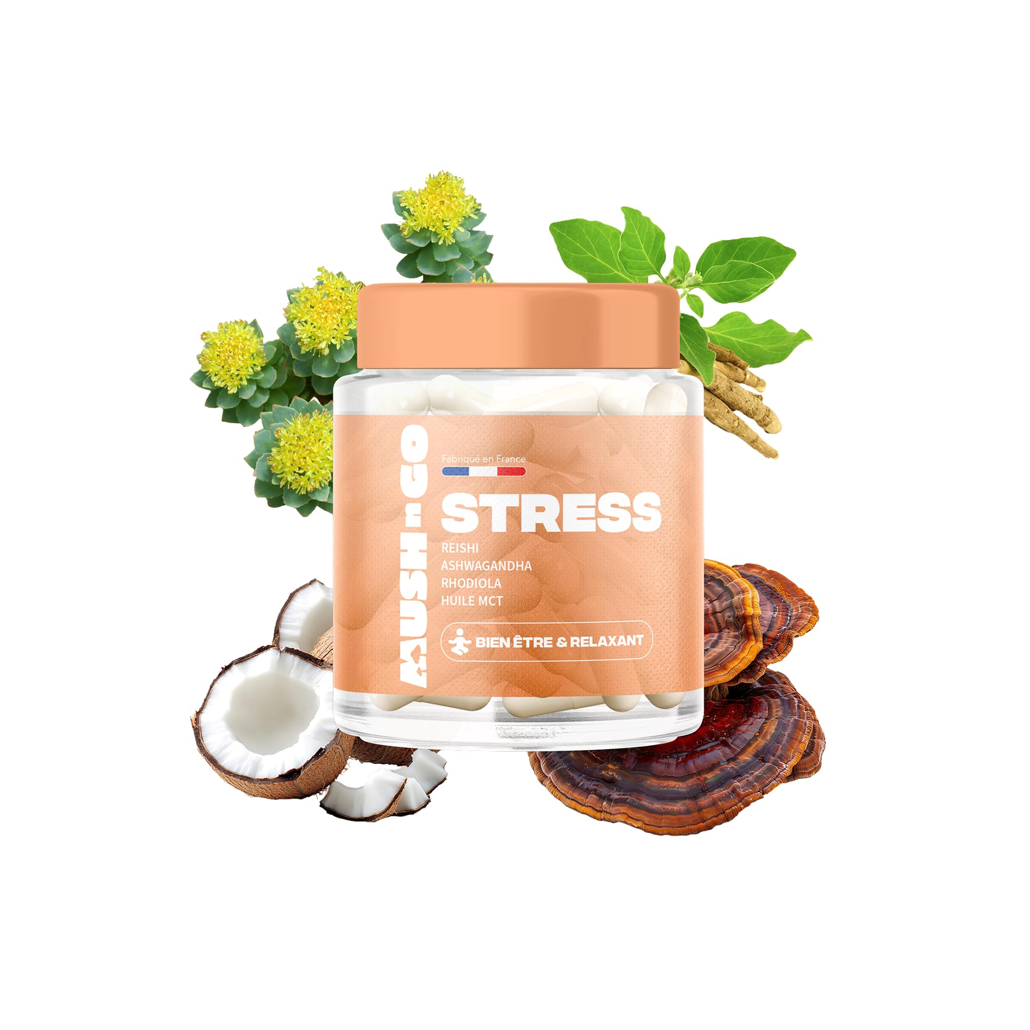 Stress & relaxation - Reishi, Ashwagandha, Rhodiola, huile MCT - fabriqué en France - vitamines & minéraux - vegan, sans gluten - 30 gélules