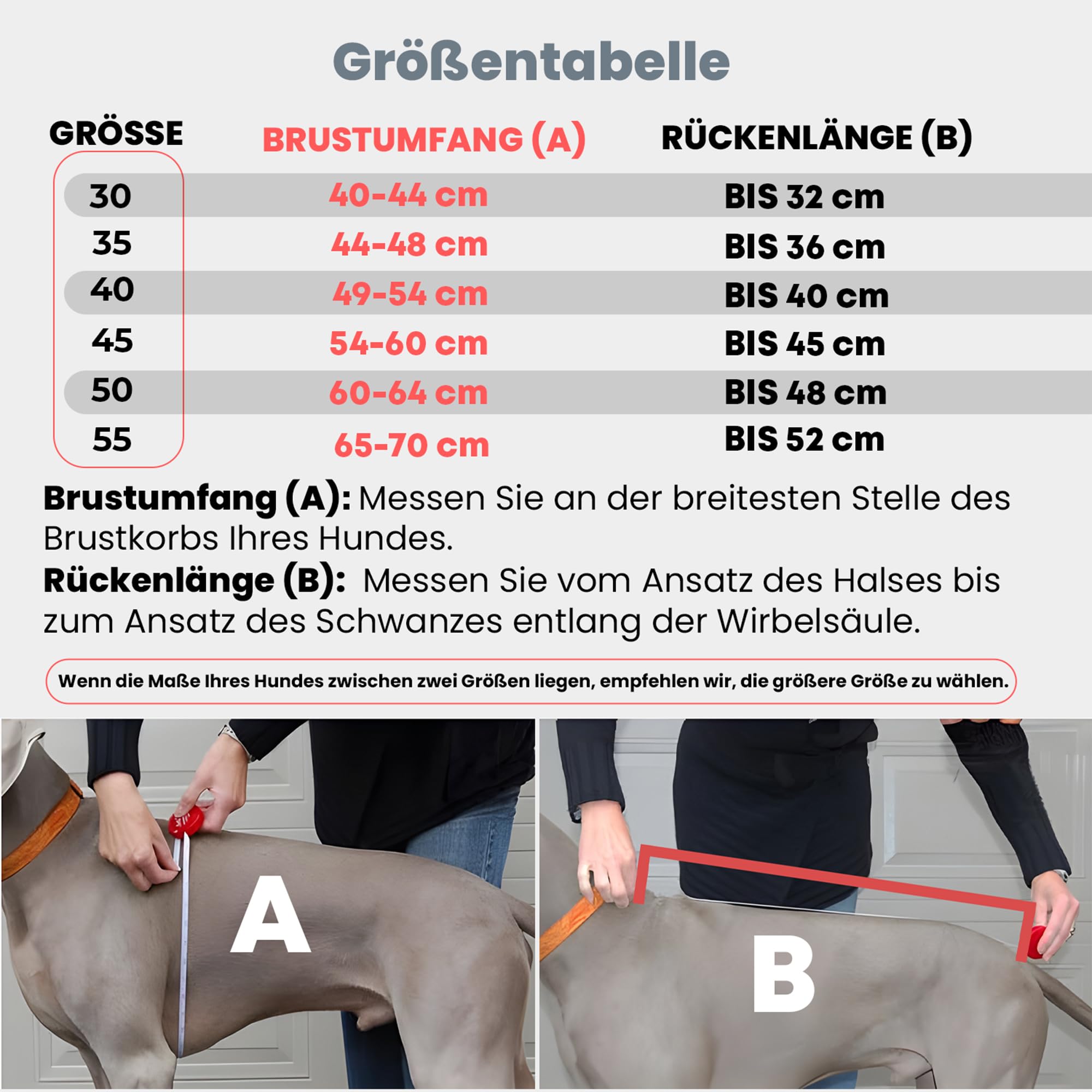 DOGOPAL Regenmantel Hund mit Integriertem Geschirr – Wasserdichter Hunderegenmantel, Winddichter Hundemantel, Reflektierende Regenjacke für Kleine & Große Hunde, Hohe Sichtbarkeit (Grau, 40)