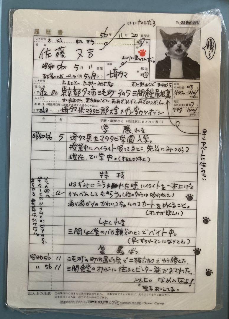 Amazon.co.jp: 昭和56年 当時物 元祖なめ猫なめんなよ 佐藤又吉履歴書